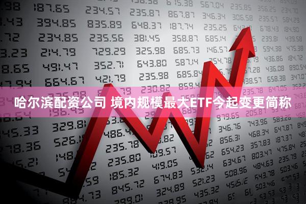 哈尔滨配资公司 境内规模最大ETF今起变更简称